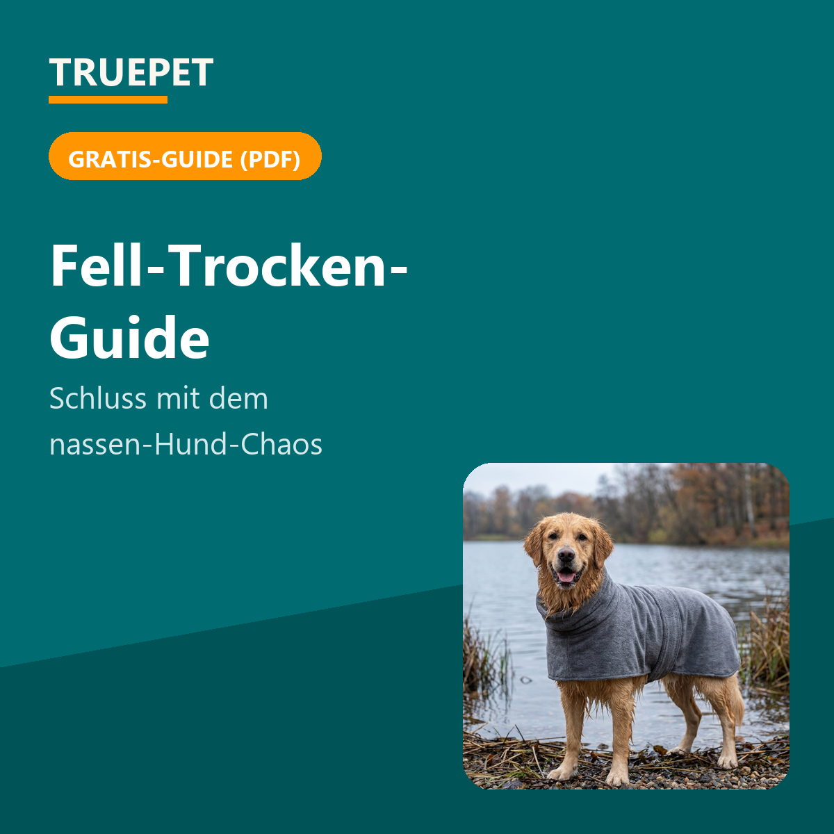 TruePet Fell-Trocken-Guide (PDF)