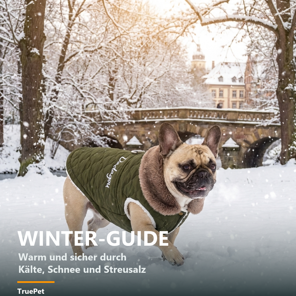 TruePet Winter-Guide (PDF)