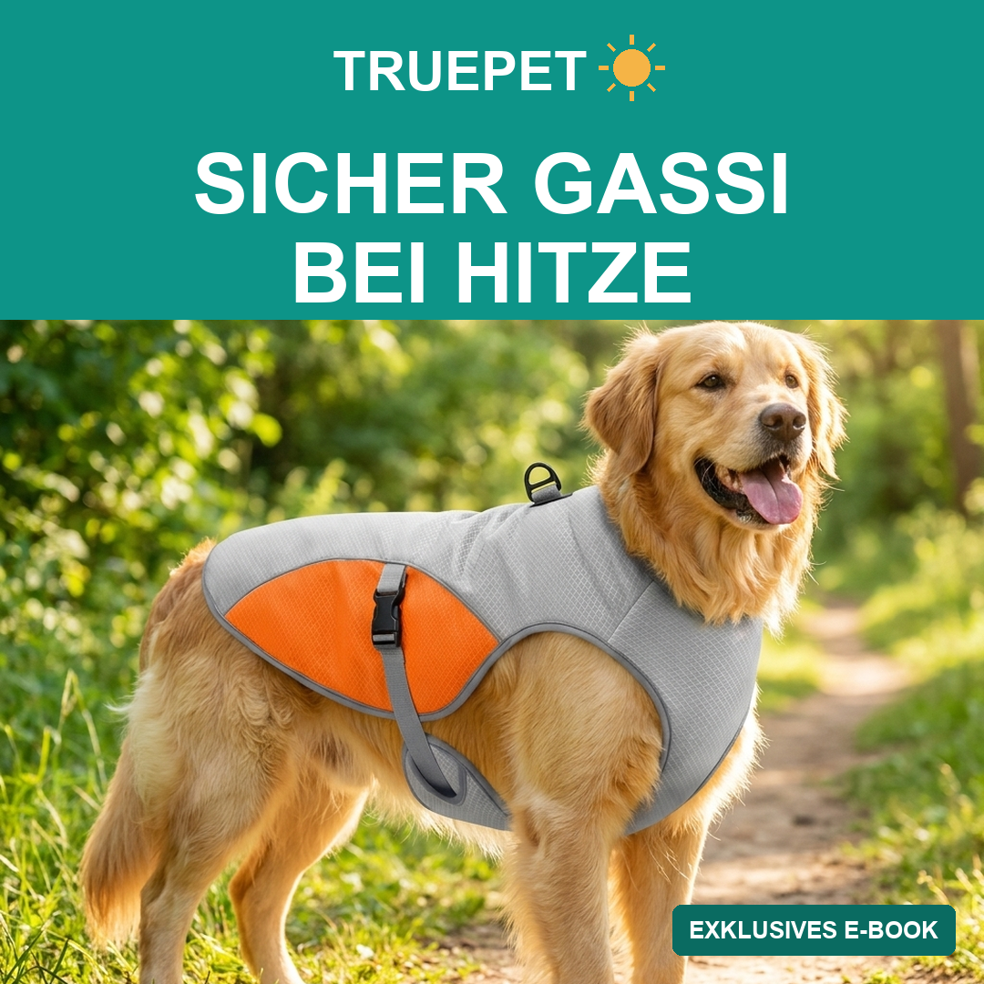 TruePet Sicher Gassi bei Hitze — digitaler Guide Cover