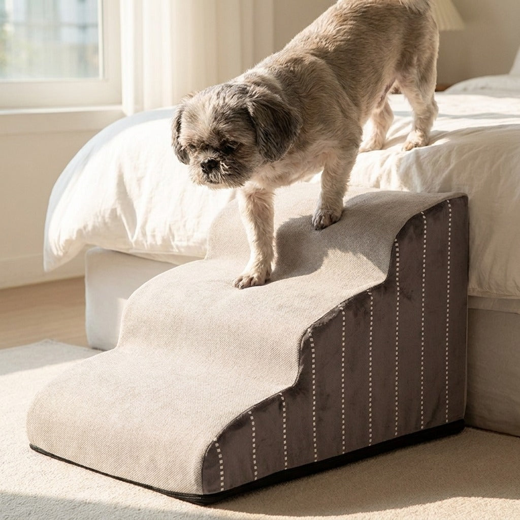 Aelterer Hund steigt ueber die Hundetreppe sicher vom Bett
