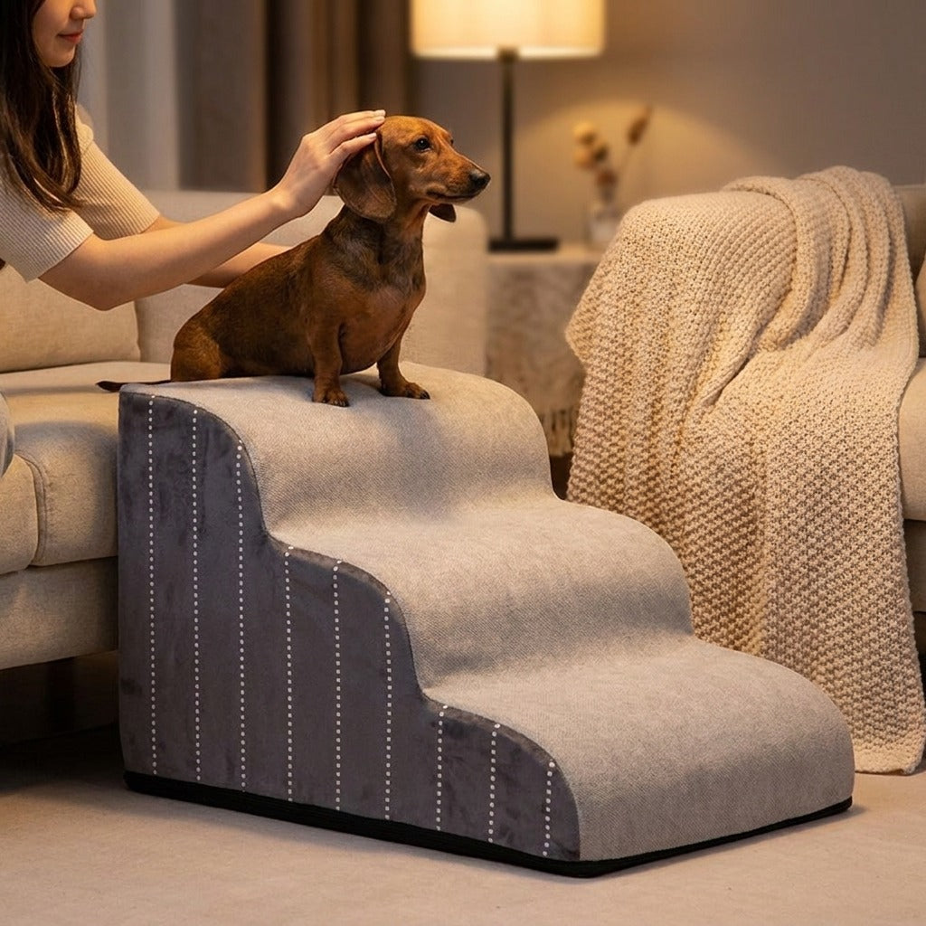 Kleiner Hund sitzt auf der obersten Stufe der Hundetreppe am Sofa
