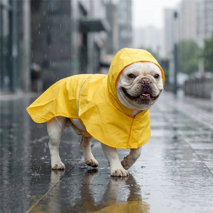 TruePet Regenmantel Gelb mit Kapuze an Franzoesischer Bulldogge im Regen