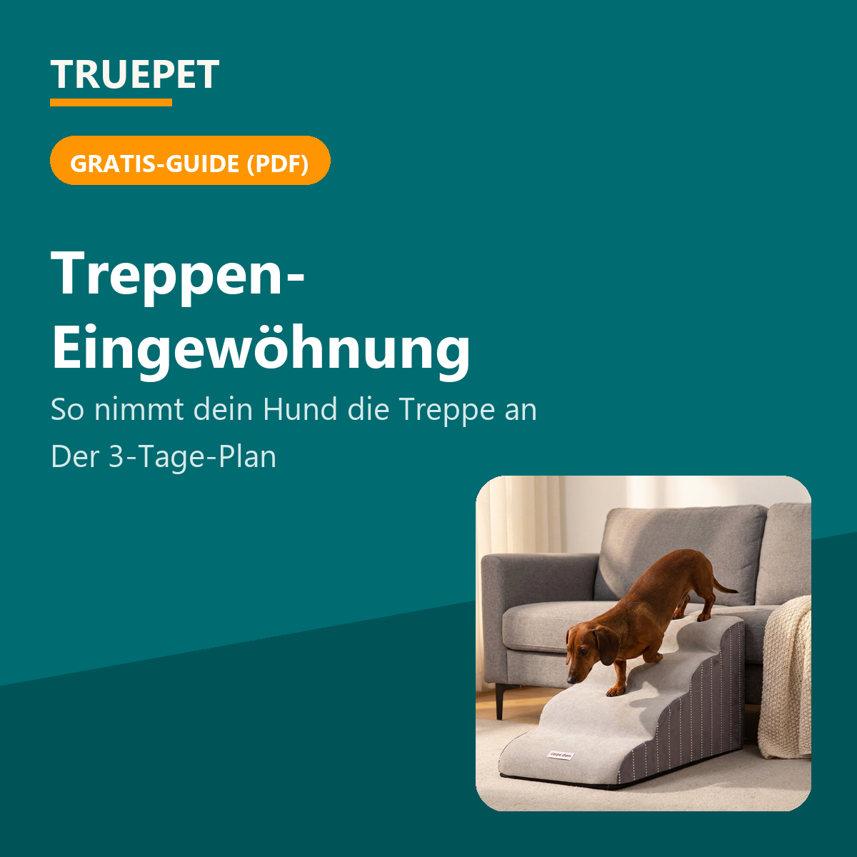 TruePet Treppen-Eingewöhnungs-Guide
