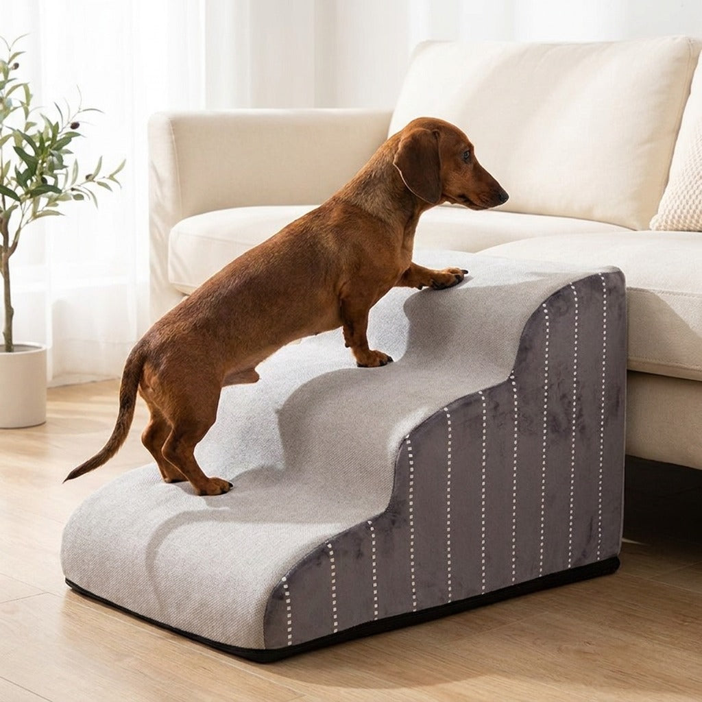 Dackel steigt ueber TruePet Wellen-Hundetreppe in Grau auf ein Sofa