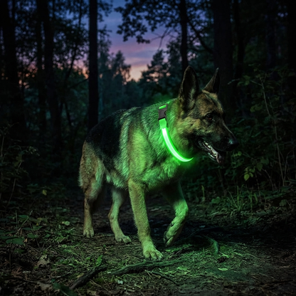 TruePet LED Hundehalsband | USB Aufladbar (2-3 Std Leuchtdauer) | 3 Leuchtmodi | 7 Farben | 6 Größen XS-XXL | Nachtsicherheit
