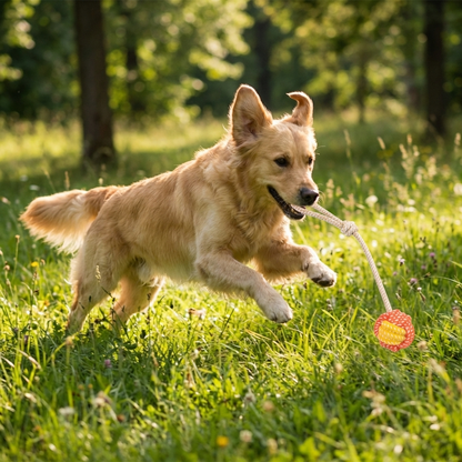 TruePet Wurfball mit Seil | Apportierball für Hunde | Fetch, Tauziehen & Zahnpflege in einem