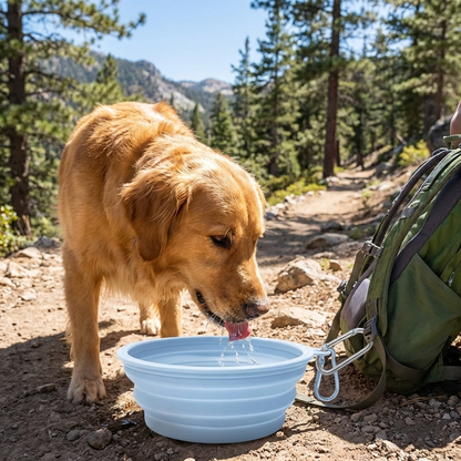TruePet Faltbarer Reisenapf 2er-Set | Silikon mit Karabiner | 350ml