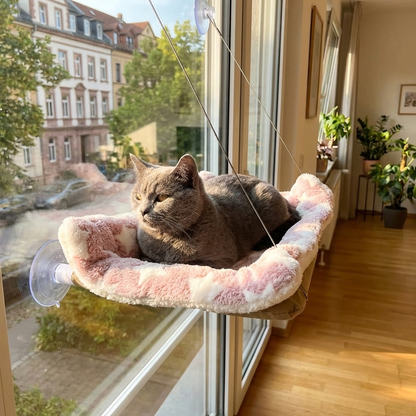 TruePet Katzenbett Fenster | Saugnapf Hängematte | Bis 15 kg | Platzsparend | Sonnenplatz