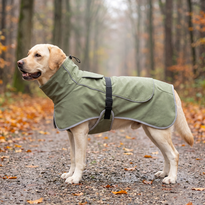 TruePet Hundemantel Olivgrün am Labrador auf herbstlichem Waldweg