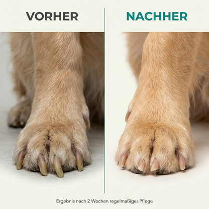 GrindPaw Pro™ — LED Krallenschleifer für Stressfreie Krallenpflege