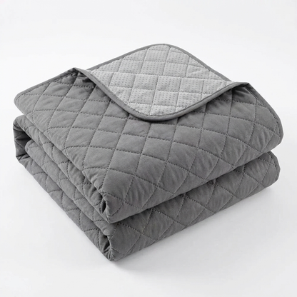 TruePet Wasserdichte Sofa-Schutzdecke | Rutschfest & Gesteppt | 1-3 Sitzer