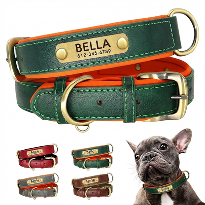 TruePet Personalisiertes Hundehalsband | PU-Leder mit Gravur | Gepolstert | XS-XL