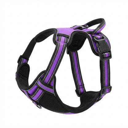 TruePet Hundegeschirr Atmungsaktiv | Mesh Brustgeschirr Sommer | Anti-Zug | Leicht | S-XL
