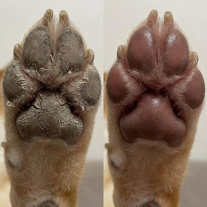 TruePet Pfotenbalsam | Natürlicher Schutz für Nase & Pfoten | 6g