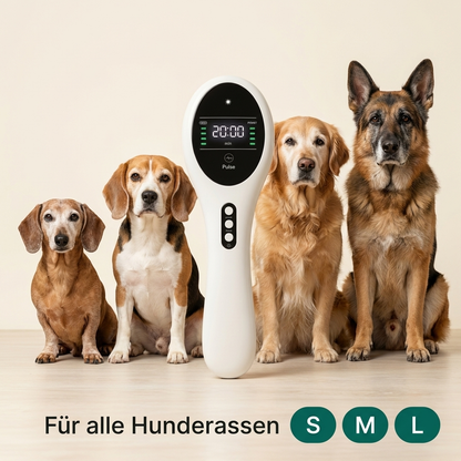 VitalPaw Pro™ — Rotlicht-Therapiegerät für Hunde | Gelenkgesundheit & Mobilität