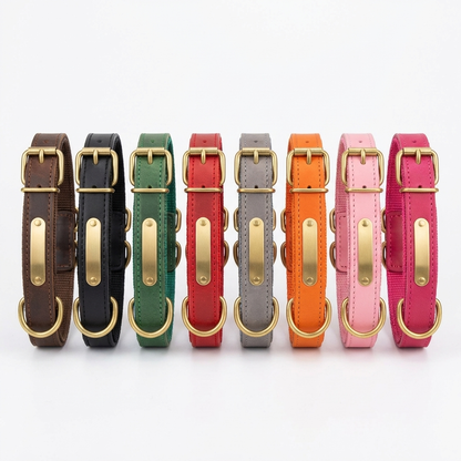 TruePet Personalisiertes Hundehalsband | PU-Leder mit Gravur | Gepolstert | XS-XL