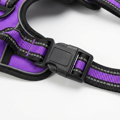 TruePet Hundegeschirr Atmungsaktiv | Mesh Brustgeschirr Sommer | Anti-Zug | Leicht | S-XL