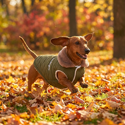 TruePet Winterjacke für Hunde | Fleece-Gefüttert | Wasserdichte Außenschale | Kuscheliger Pelzkragen | D-Ring für Leine | 3 Farben | S-2XL