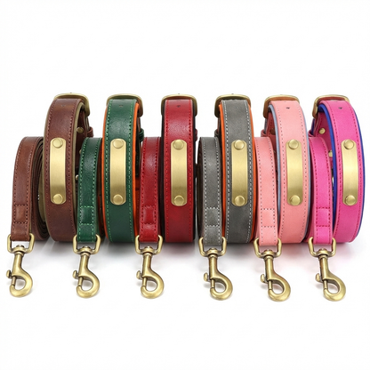 TruePet Premium Hundeleine aus Leder | Mit Gravur | Gepolstert