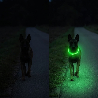 TruePet LED Hundehalsband | USB Aufladbar (2-3 Std Leuchtdauer) | 3 Leuchtmodi | 7 Farben | 6 Größen XS-XXL | Nachtsicherheit