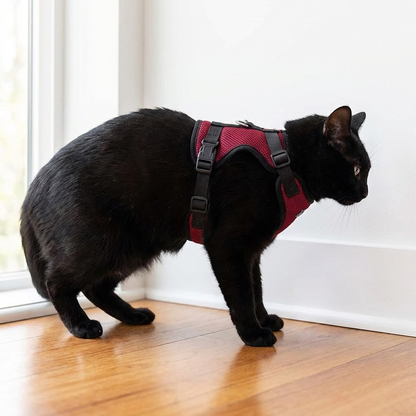 TruePet Katzengeschirr mit Leine | Ausbruchsicher | Weich gepolstert | Verstellbar | S-L