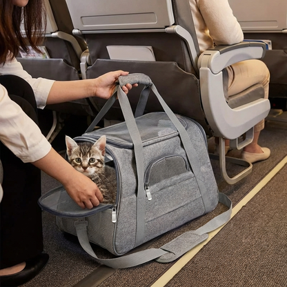 TruePet Katzentransportbox Flugzeug-tauglich | IATA konform | Handgepäck | Belüftet | S-L