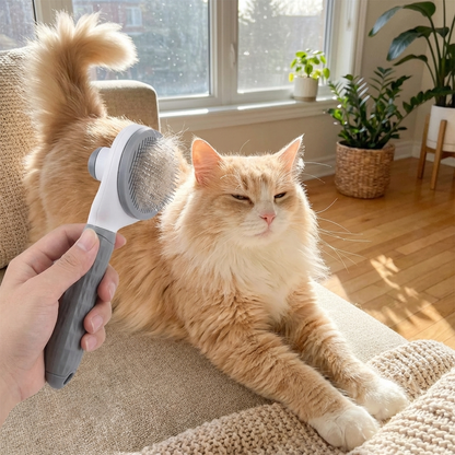 TruePet Katzenbürste Selbstreinigend | Fellpflege Lang- & Kurzhaar | Knopfdruck Reinigung | Entfilzungsbürste