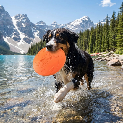 TruePet Soft Frisbee für Hunde | Weiche Silikon-Wurfscheibe | Zahnschonend & Schwimmfähig