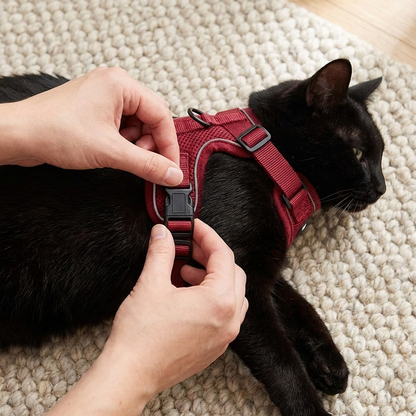 TruePet Katzengeschirr mit Leine | Ausbruchsicher | Weich gepolstert | Verstellbar | S-L
