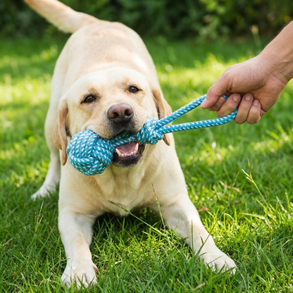 TruePet Wurfball mit Seil | Apportierball für Hunde | Fetch, Tauziehen & Zahnpflege in einem