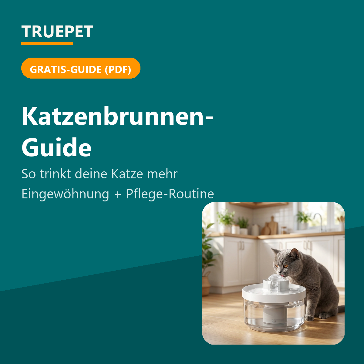 TruePet Katzenbrunnen-Guide (PDF Cover)