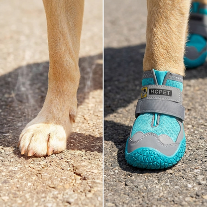 TruePet Hundeschuhe Sommer — Pfotenschutz Heißer Asphalt