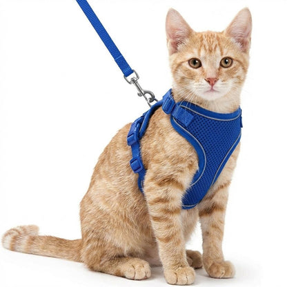 katzengeschirr-leine-v2 Blau