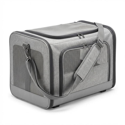 katzentransportbox-flugzeug Grau