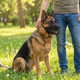 TruePet Maulkorb Hund Silikon | Weich & Atmungsaktiv | Trinken Möglich | Verstellbar | S-XXL