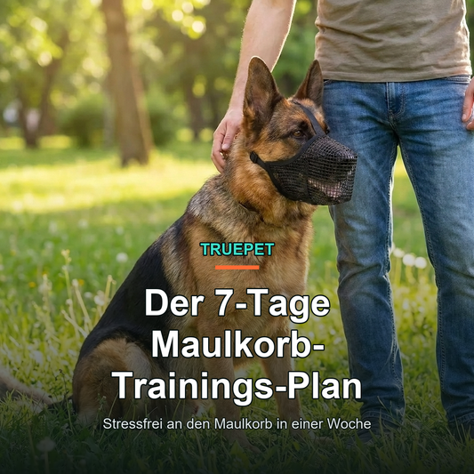 TruePet 7-Tage Maulkorb-Trainings-Plan (Digitaler Download)