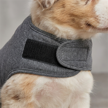 CalmPaw Pro Klettverschluss Detail