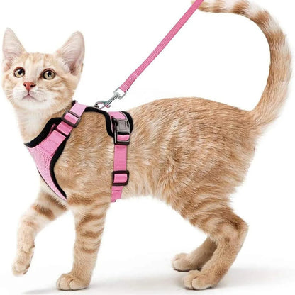 katzengeschirr-leine-v2 Rosa