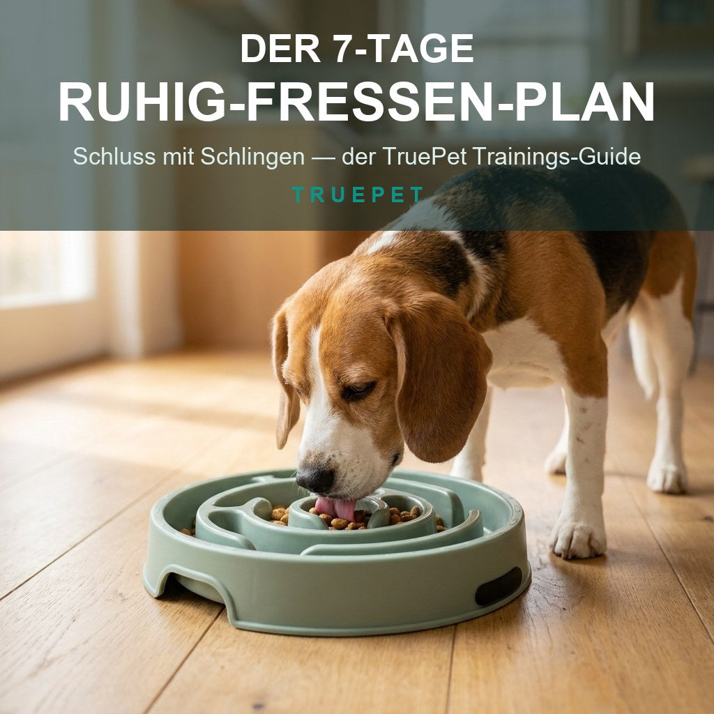 TruePet 7-Tage Ruhig-Fressen-Plan (Digitaler Download)