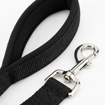 TruePet Schleppleine Hund | 5m 10m 15m | Reflektierend & Gepolstert | Nylon Training | Rückruftraining