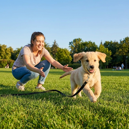 TruePet Schleppleine Hund | 5m 10m 15m | Reflektierend & Gepolstert | Nylon Training | Rückruftraining