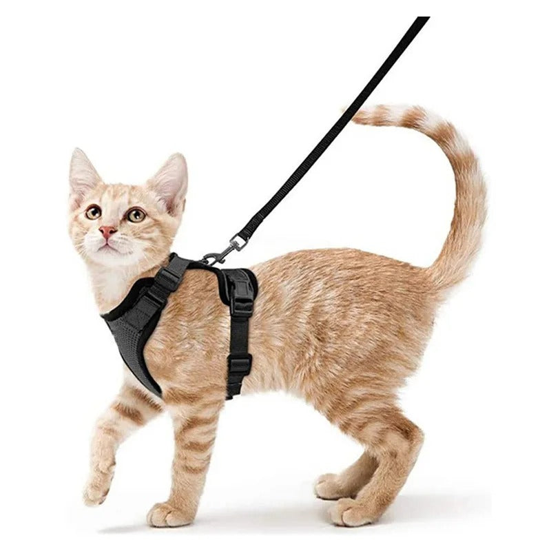 katzengeschirr-leine-v2 Schwarz