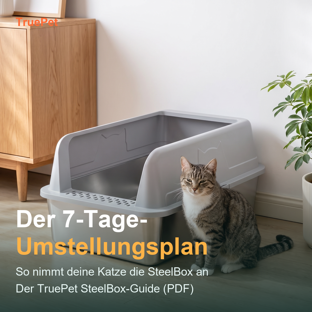 TruePet SteelBox-Guide: Der 7-Tage-Umstellungsplan (PDF)