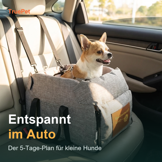 TruePet Auto-Gewöhnungs-Guide — Entspannt im Auto in 5 Tagen (Digitaler Download)