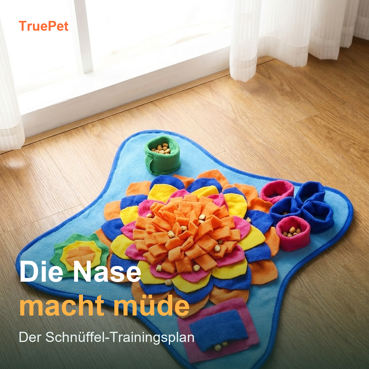 TruePet Schnüffel-Trainingsplan — Nasenarbeit in 7 Stufen (Digitaler Download)