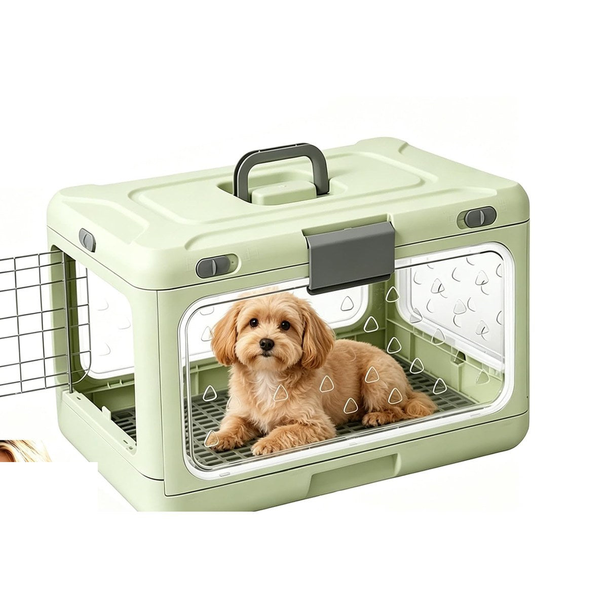 TruePet Transportbox Faltbar | Hartschale mit Sichtfenster | Klappt auf 11 cm | Für Katzen & kleine Hunde
