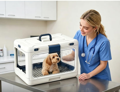 TruePet Transportbox Faltbar | Hartschale mit Sichtfenster | Klappt auf 11 cm | Für Katzen & kleine Hunde
