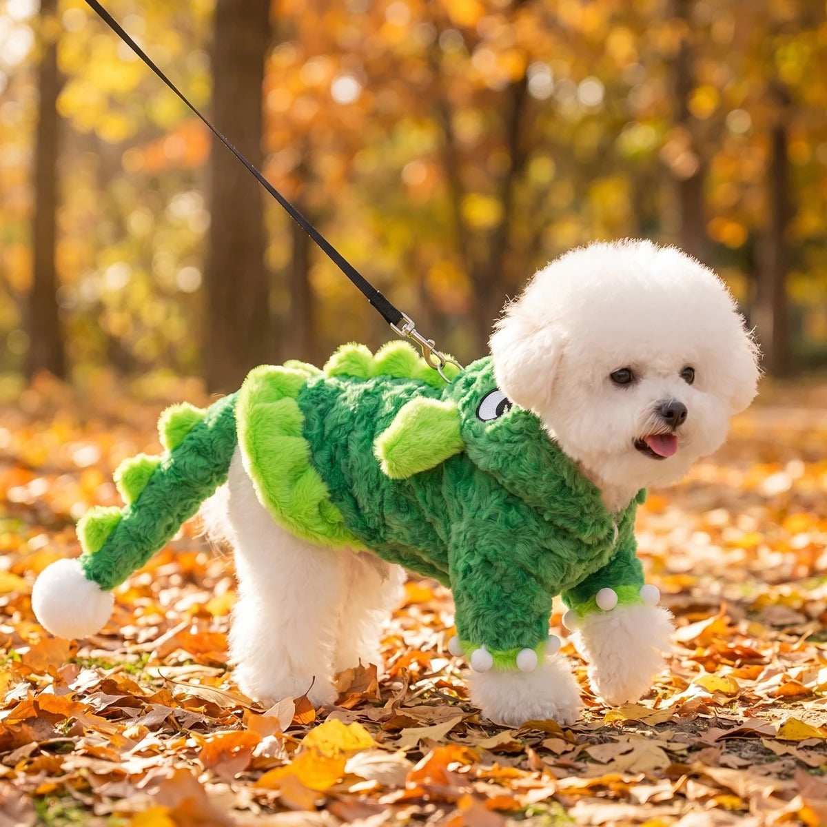 truepet-dino-kostuem_SEC1.jpg