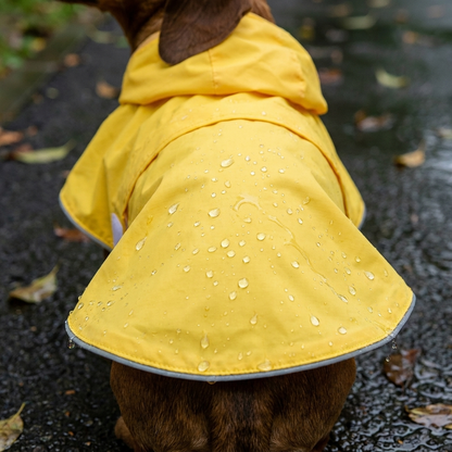 TruePet Hunde-Regenmantel | 100% Wasserdicht & Winddicht | Mit Kapuze | Leuchtend Gelb oder Grau | Reflektierend | Für kleine & mittlere Hunde