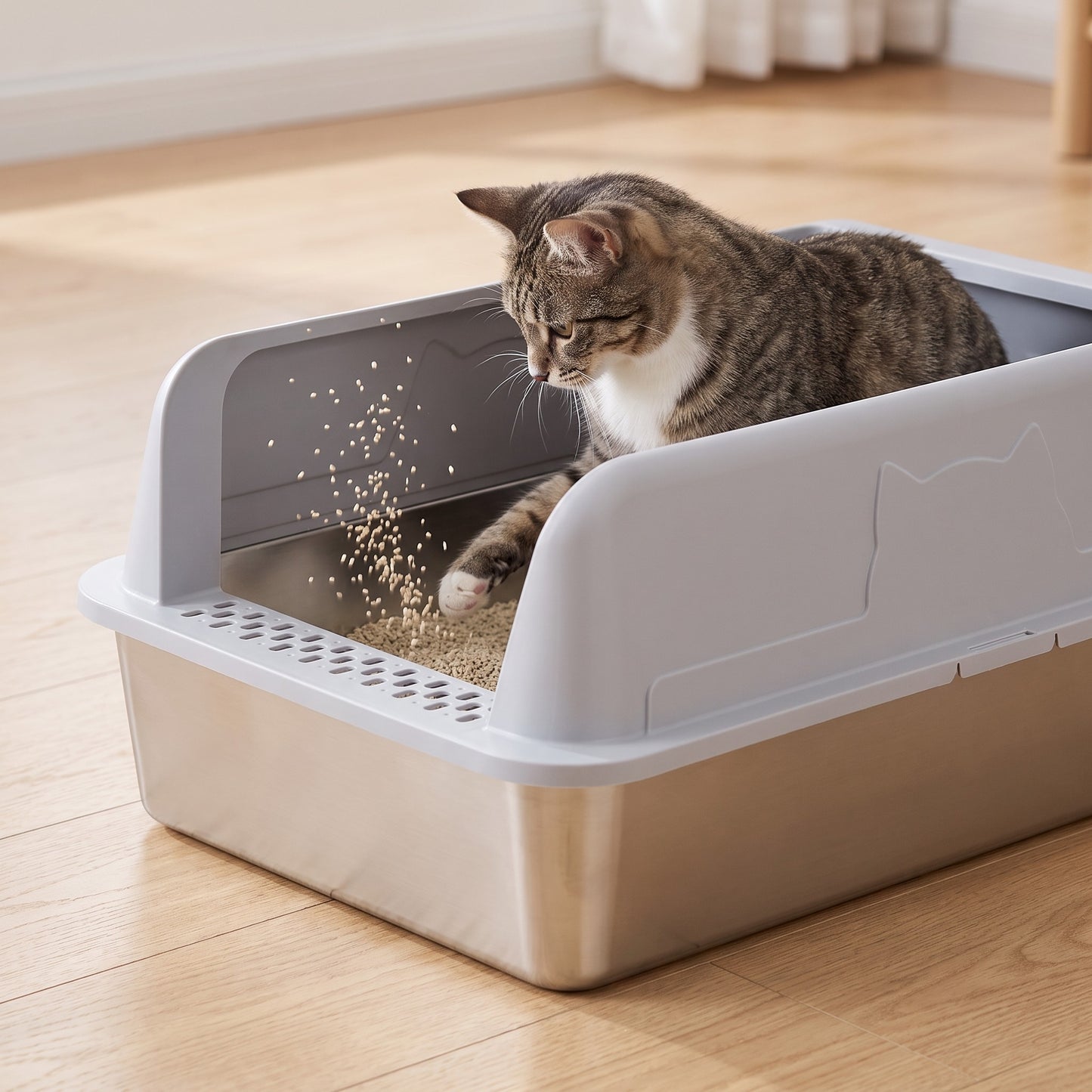 Katze buddelt in der SteelBox, die 25 cm Wand hält die Streu drinnen